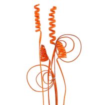 Kategorija Egzotiškas