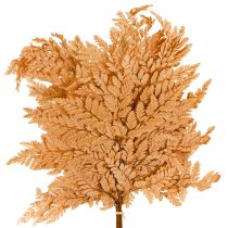 Kategorija Šakos, pagaliukai ir šakelės