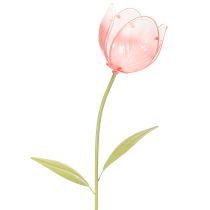 Kategorija Sodo kištukas