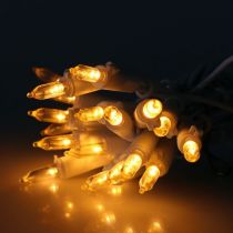 LED fėjų lemputės