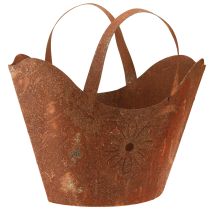 Kategorija Sodo apdailos rūdys