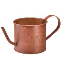 Kategorija Sodo apdailos rūdys