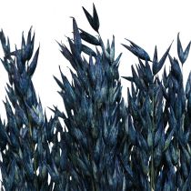 Džiovintos gėlės, avižos Džiovinti javai Deco Blue 68cm 230g