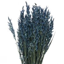 daiktų Džiovintos gėlės, avižų džiovintų grūdų puošmena mėlyna 68cm 230g