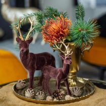 Orientinis-optinis padėklas, auksinė dekoratyvinė plokštelė, metalinė apdaila Ø18,5cm