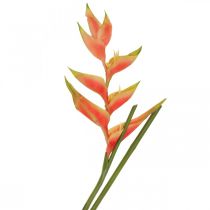 daiktų Heliconia dirbtinės gėlės egzotiškai rožinė, žalia H103cm