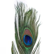 Povo plunksnų dekoratyvinės plunksnos paukščių plunksnų gamybai H78cm 10 vnt