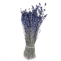 daiktų Džiovintų levandų ryšelis džiovintų gėlių mėlynos spalvos 25cm 75g