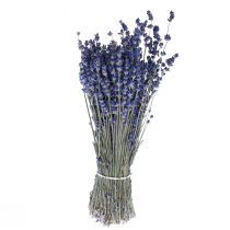 Džiovintų levandų kekė džiovintų gėlių mėlyna 25cm 75g