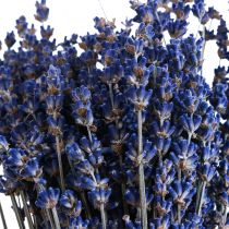daiktų Džiovintų levandų ryšelis džiovintų gėlių mėlynos spalvos 25cm 75g