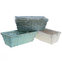 daiktų Sėjamoji, pintas augalų krepšelis, kvadratinis drožlių krepšelis žalias/baltas 25cm 6 vnt