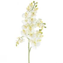 Phalaenopsis Dirbtinės Orchidėjų Dirbtinės Gėlės Baltos 70cm