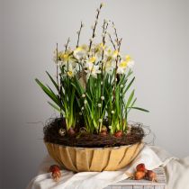 daiktų Apvalus vazonas, gėlių puošmena, plastikinis dubuo, indas kompozicijoms žalias, baltai margas H8,5cm Ø30cm