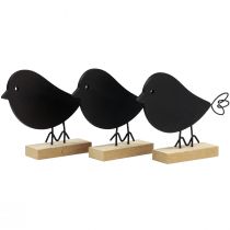 daiktų Dekoratyviniai paukščiai juodi mediniai paukščiai mediniai dekoravimo spyruoklė 13,5cm 6vnt