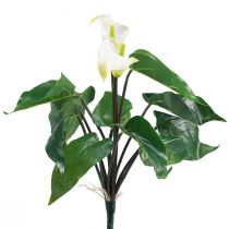 Calla Lely Kalla Dirbtinės Gėlės Baltos Egzotiškos Gėlės 34cm