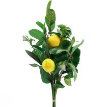 daiktų Dekoratyvinės šakelės Viduržemio jūros dekoratyvinės citrinos dirbtinės 50cm