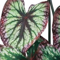 daiktų Begonija Dirbtiniai augalai Lapas Begonijos Žalia Violetinė 62cm