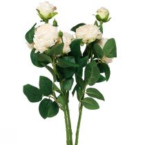 Dirbtinės rožės kremas Artificial Roses Dry Look 53cm 3vnt