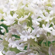 daiktų Dirbtinės gėlės sniego gniūžtės augalas Virburnum baltas Ø8cm 64cm