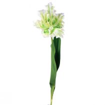 daiktų Dirbtinė gėlė papūga tulpė dirbtinė tulpė žalia balta 69cm
