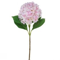 daiktų Hortenzija dirbtinė šviesiai rožinė dirbtinė gėlė rožinė Ø15,5cm 45cm