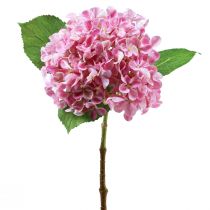 daiktų Hortenzija dirbtinė rožinė dirbtinė gėlė rožinė Ø15,5cm 45cm