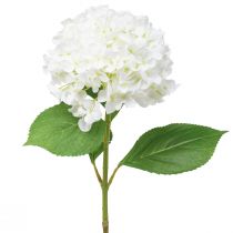 daiktų Dekoratyvinė hortenzija dirbtinė balta sniego gniūžtė hortenzija 65cm