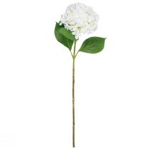daiktų Dekoratyvinė hortenzija dirbtinė balta sniego gniūžtė hortenzija 65cm