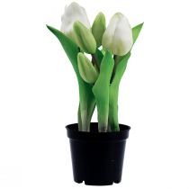 daiktų Dirbtinės tulpės vazone Baltos tulpės dirbtinės gėlės 22cm