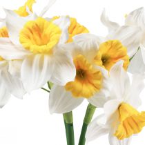daiktų Dirbtiniai narcizai Baltos šilko gėlės Narcizai 40cm 3vnt