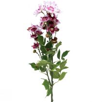 daiktų Dirbtinės Gėlės Dirbtinės Astras Šilkinės Gėlės Violetinės 80cm