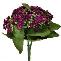 daiktų Liepsnojanti Käthchen Kalanchoe dirbtinė violetinė 24cm