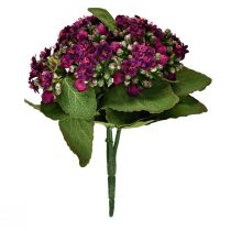 daiktų Liepsnojanti Käthchen Kalanchoe dirbtinė violetinė 24cm