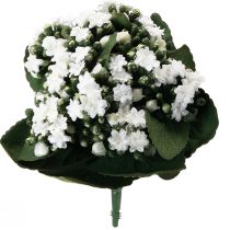 daiktų Dirbtinė Kalanchoe Flaming Käthchen White 24cm