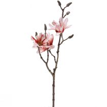 daiktų Magnolijos šakelė magnolijos dirbtinė lašiša 58cm