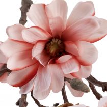 daiktų Magnolijos šakelė magnolijos dirbtinė lašiša 58cm