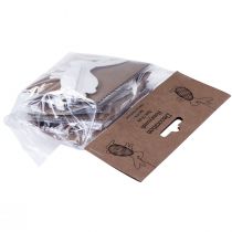 daiktų Velykų zuikis korio dekoras triušis stovi baltas oranžinis 5×3×8 cm 6 vnt.