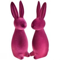 daiktų Velykiniai zuikiai violetiniai dekoratyviniai zuikiai – 2-as pasirinkimas – pulkuoti 8×10×29cm 2 vnt.
