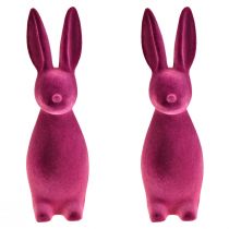 daiktų Velykiniai zuikiai violetiniai dekoratyviniai zuikiai – 2-as pasirinkimas – pulkuoti 8×10×29cm 2 vnt.