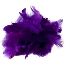 daiktų Dekoratyvinės plunksnos mažos tikros paukščių plunksnos dekoratyvinės violetinės 5-10cm 10g