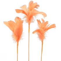 daiktų Dekoratyvinės plunksnos oranžinės paukščių plunksnos ant pagaliuko 36cm 12vnt
