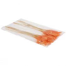 daiktų Dekoratyvinės plunksnos oranžinės paukščių plunksnos ant pagaliuko 36cm 12 vnt