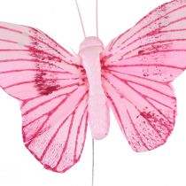 daiktų Dekoratyviniai drugeliai ant vielos spalvingos plunksnos 5,5×8cm 12vnt