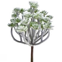 daiktų Stonecrop Dirbtiniai sukulentai Dirbtiniai augalai 16cm 4 vnt