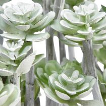 daiktų Stonecrop Dirbtiniai sukulentai Dirbtiniai augalai 16cm 4 vnt