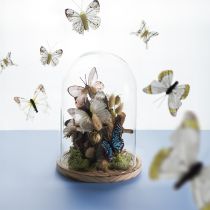 daiktų Stiklinis varpelis ant medinio padėklo, stiklinis indelis, skaidrus, natūralus, Ø17cm, H24cm