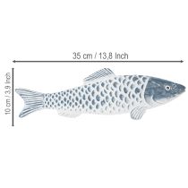 daiktų Medinė žuvelė mėlynos ir baltos spalvos, žuvies dekoracija, medžio miltai, 35 cm, 1 vnt.