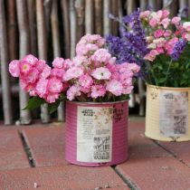 daiktų Dekoratyvinė skarda, shabby chic stiliaus, metalinė, Ø11cm, aukštis 10,5cm, įvairios spalvos