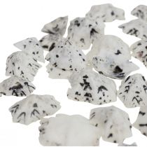 Shell Deco Shells White Black Small 1-2,5cm 250g