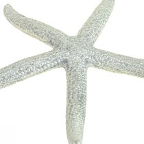 Jūros žvaigždė sidabrinė jūrinė dekoracija jūros žvaigždė vasaros dekoracija 7,5 cm 10 vnt
